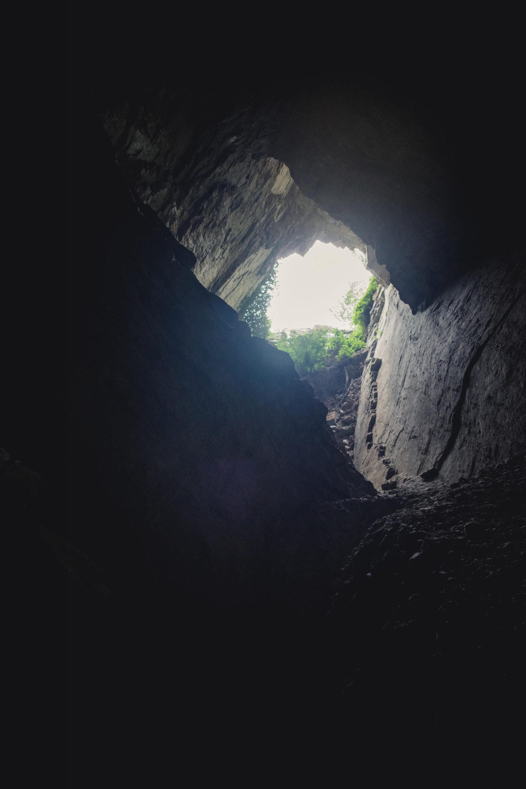 Some sunlight seen from the inside of a cave looking out