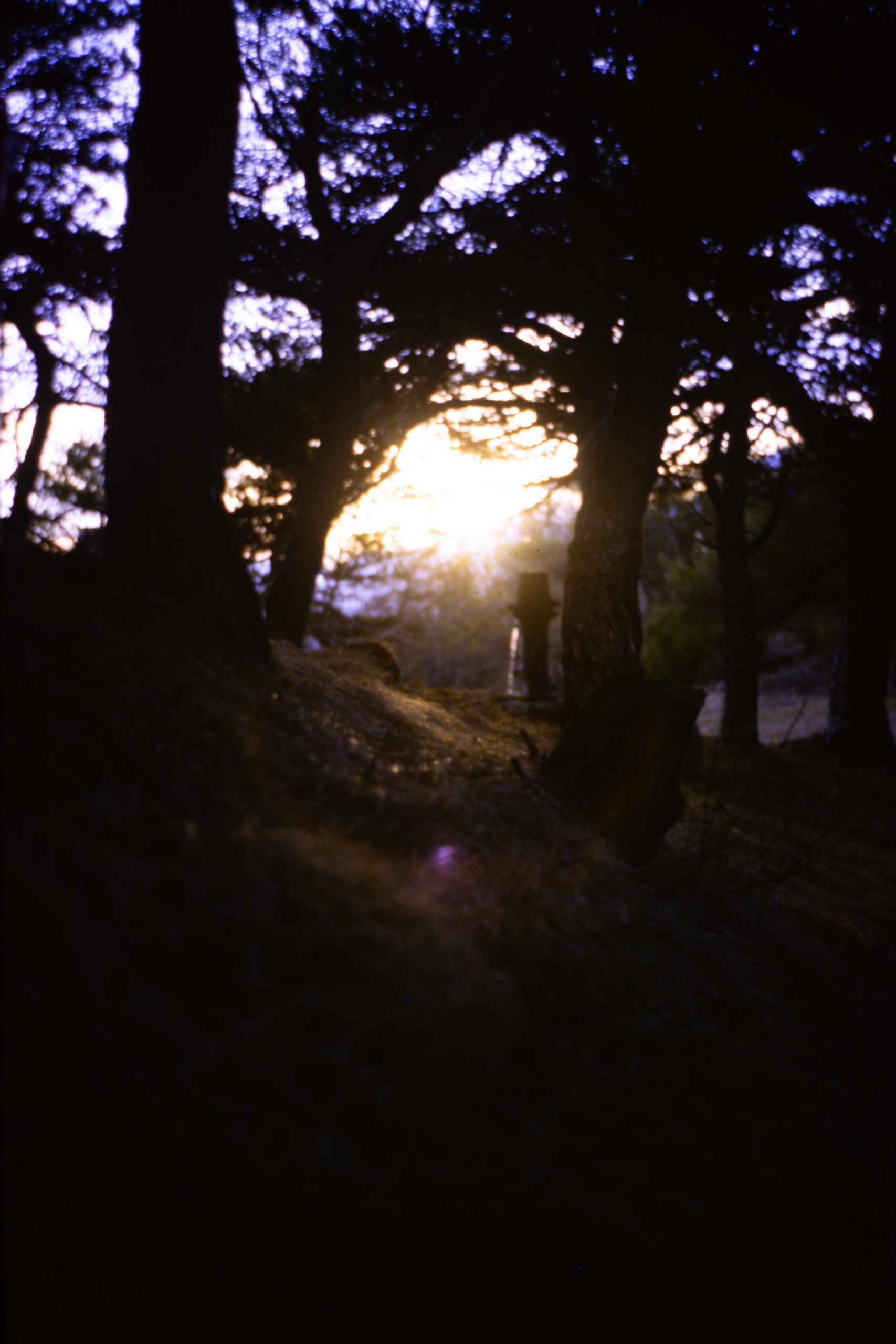 Slide film experiment pt. 3