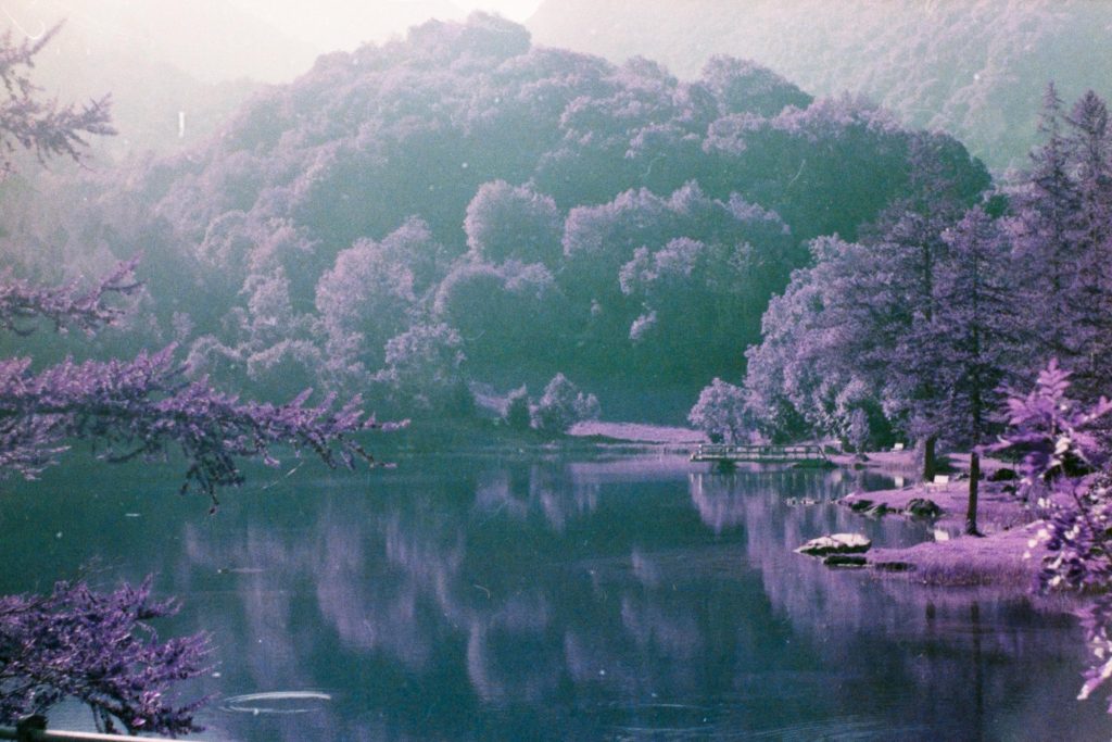 A lake surrounded by trees and mountains, everything is purple, black and white