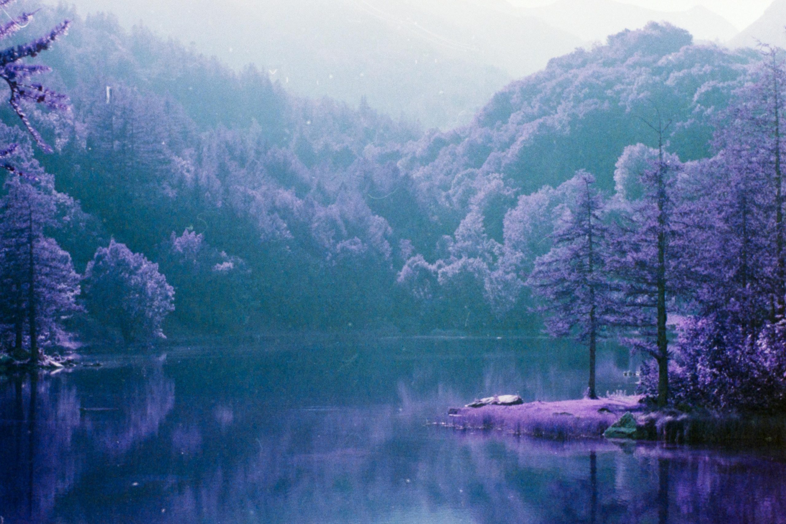 A lake surrounded by trees and mountains, everything is purple, black and white