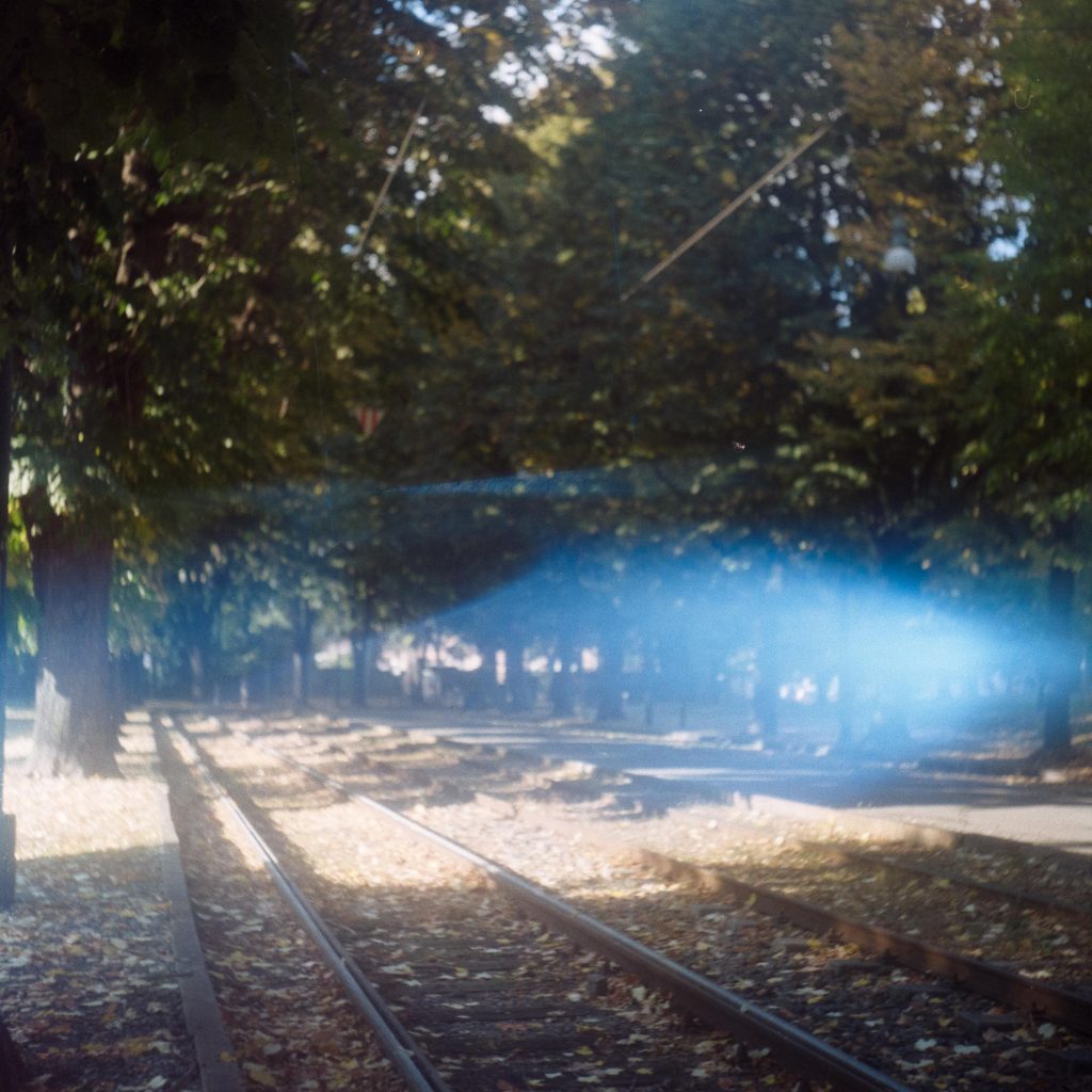 Some railway tracks in a city park